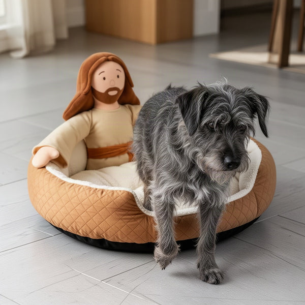 Bed on a smooth floor with the dark base visible at the bottom edge while a dog steps in
