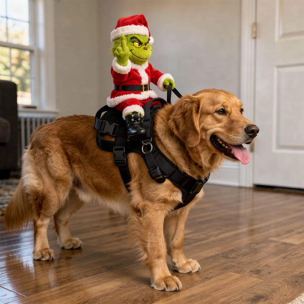 Side view of golden retriever with the figure on its back, legs hanging down on both sides