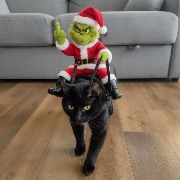 Black cat wearing the harness with the figure on top