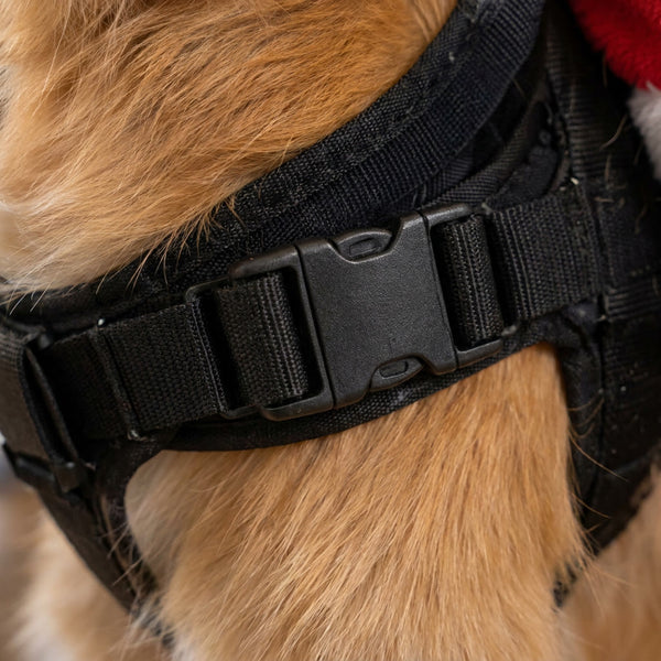 Close-up of the side-release buckle and adjustable webbing straps